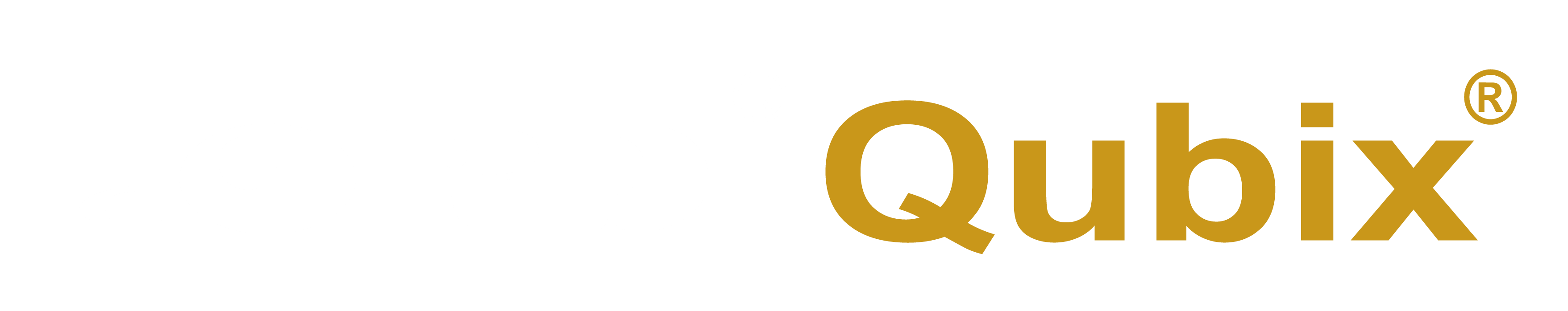 QubixLord